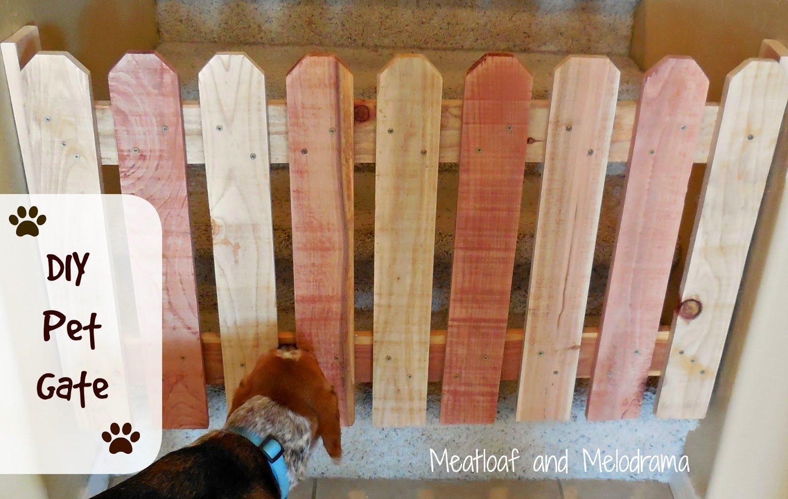 DIY Pet Gate - Meatloaf and Melodrama