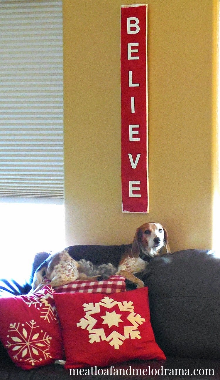 beagle under believe christmas sign on couch