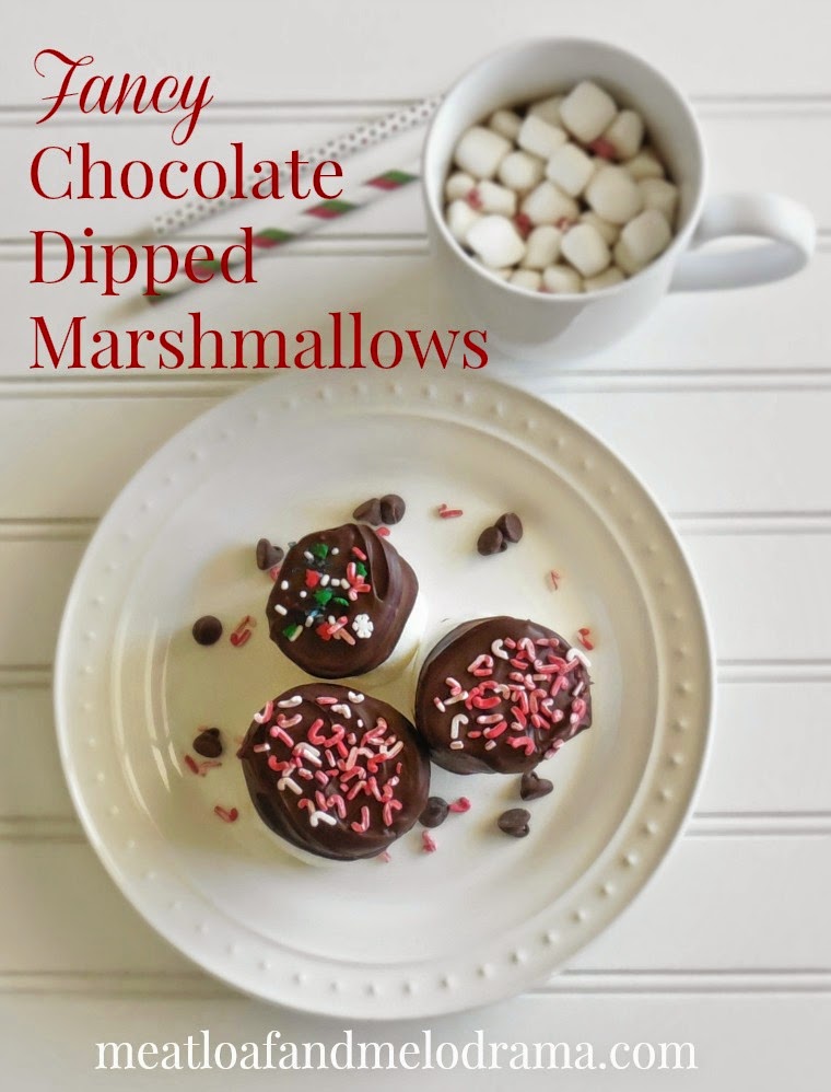 chocolate covered and chocolate dipped marshmallows with candy sprinkles and  hot chocolate