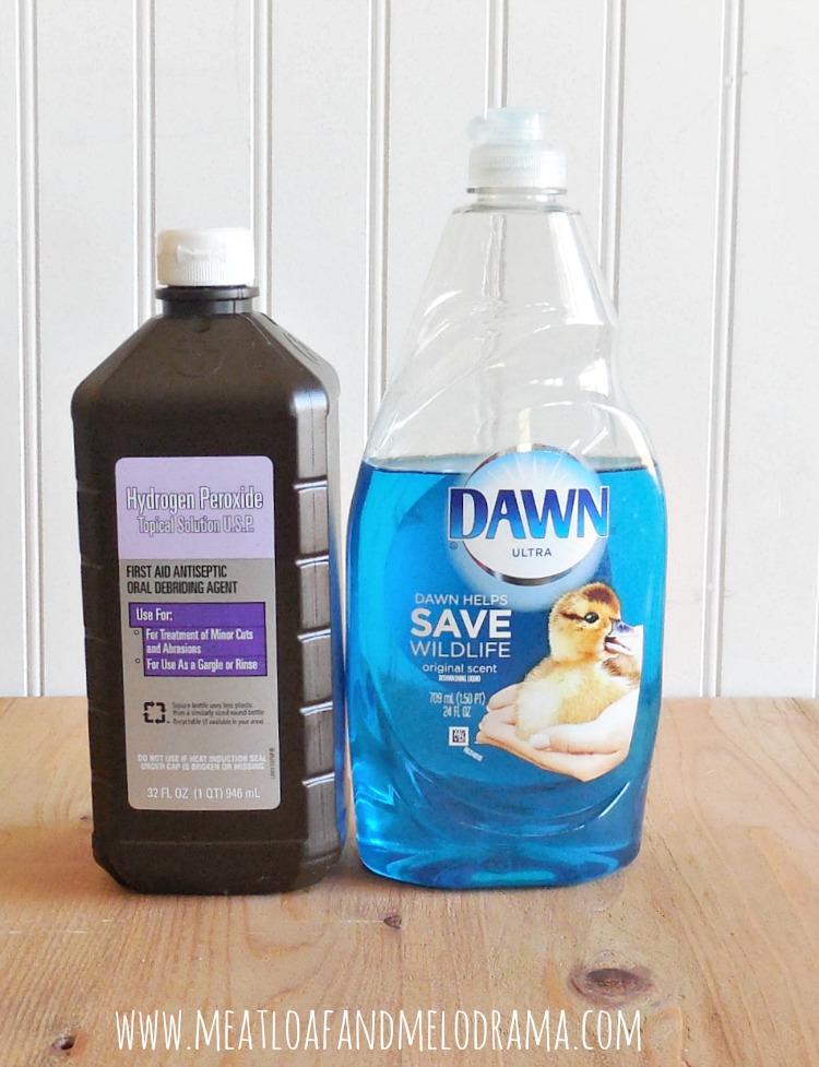 clean with hydrogen peroxide and dawn dish soap