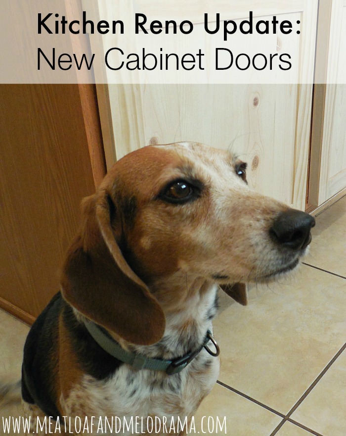 kitchen reno update: new cabinet doors