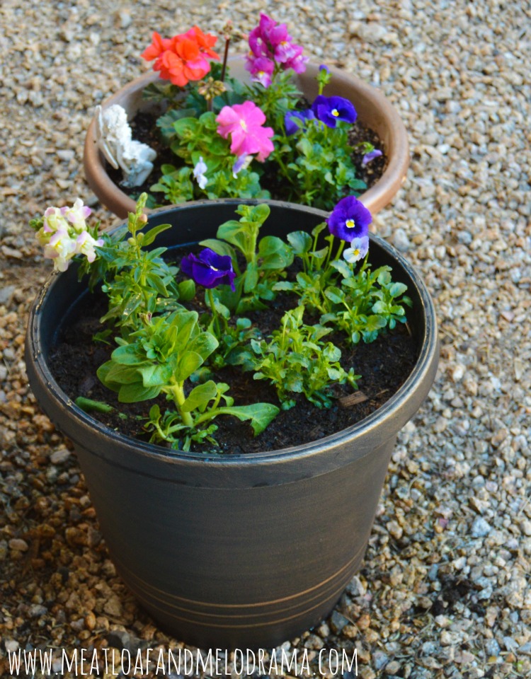 oil rubbed bronze planter with flowers
