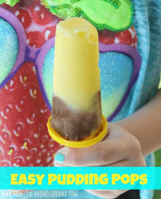 homemade pudding pops recipe