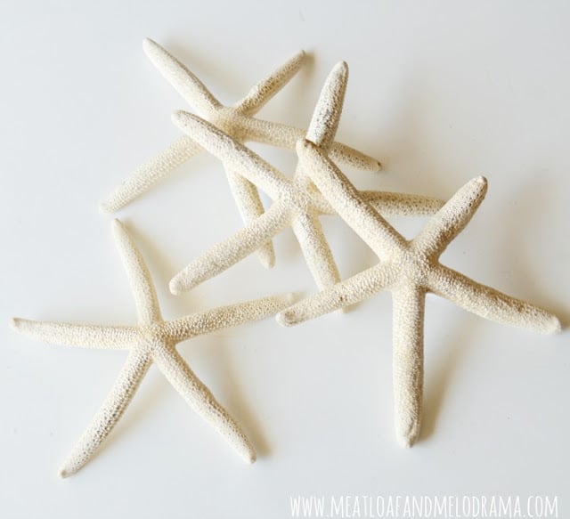 starfish for crafts