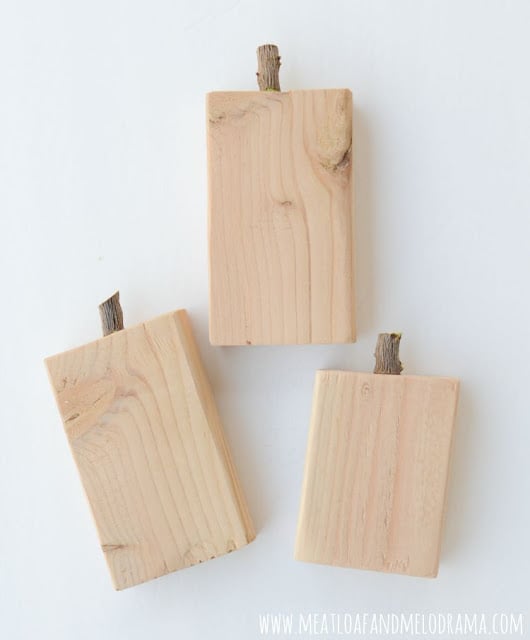 wood twig stems on 2x4 wood blocks