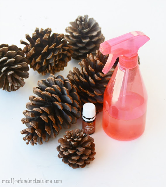 pine-cones-cinnamon-oil-spray-bottle