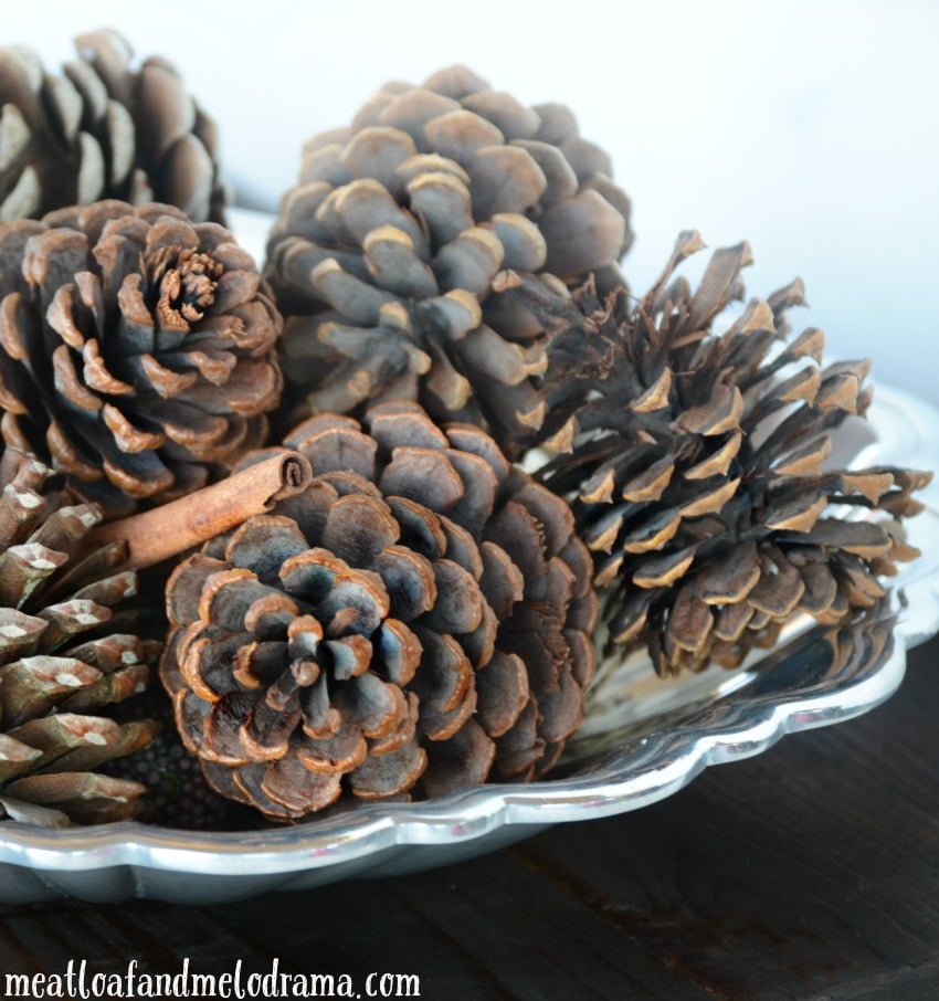How to Make Scented Pine Cones - Meatloaf and Melodrama