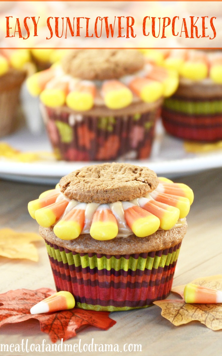 Easy Sunflower Cupcakes - Meatloaf and Melodrama