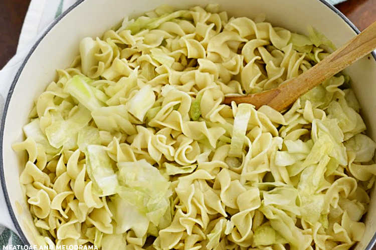 cabbage and egg noodles in dutch oven