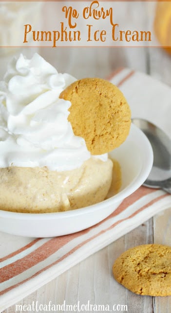 recipe-for-homemade-no-churn-pumpkin-ice-cream