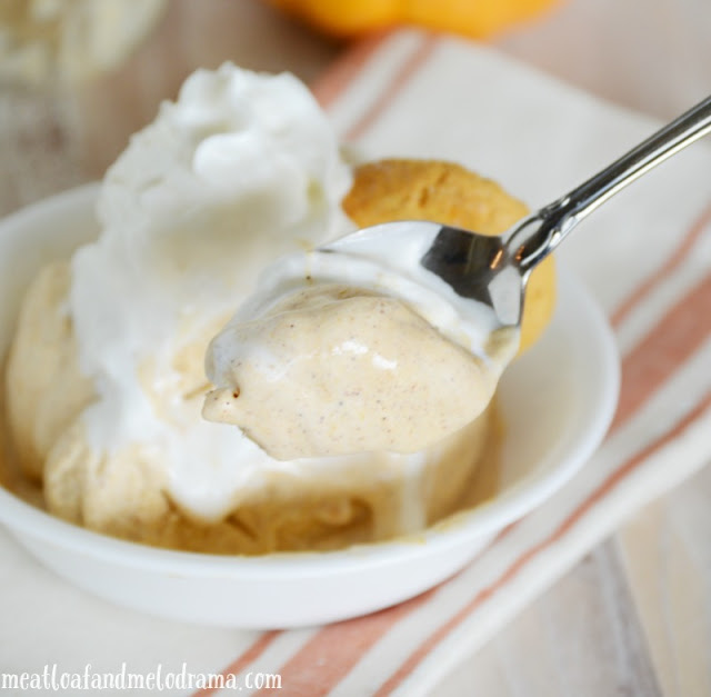 spoonfull-of-no-churn-pumpkin-ice-cream-with-whipped-cream