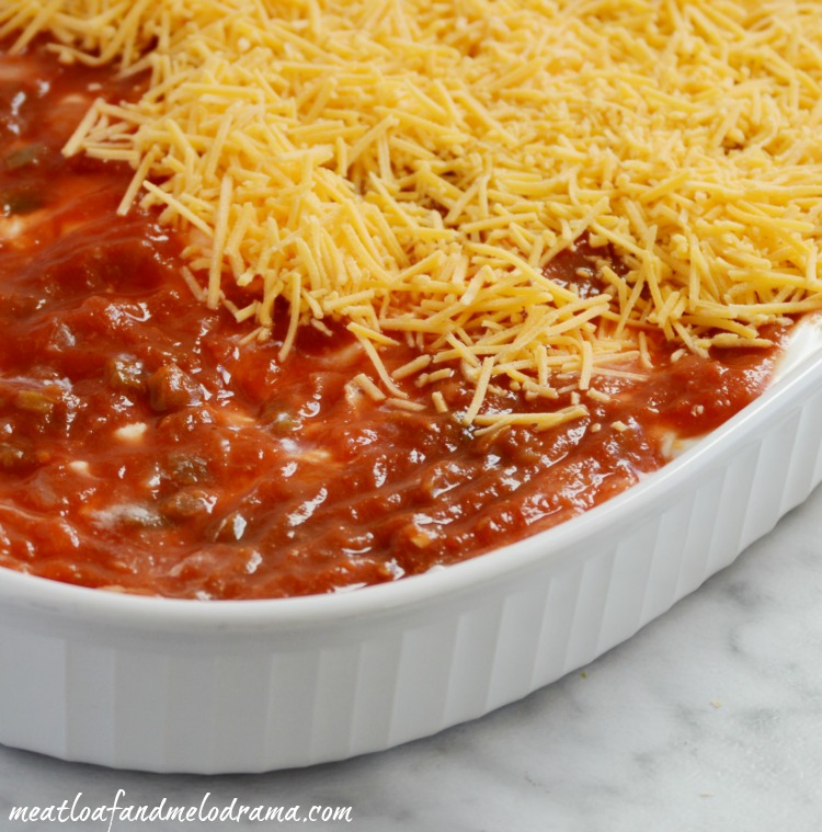 layer-salsa-cheddar-cheese-dip
