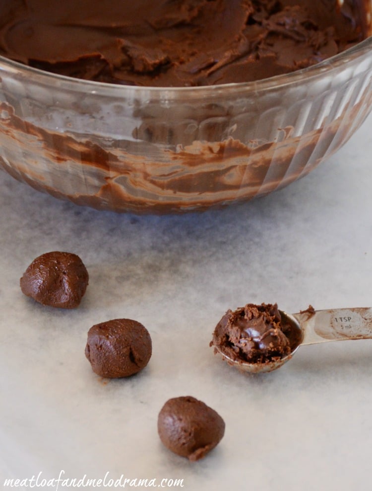 scoop-chocolate-ganache-truffles