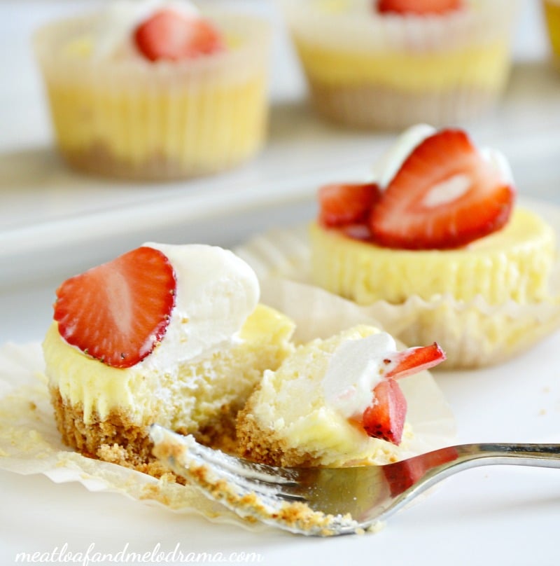 mini-cheesecakes-strawberries