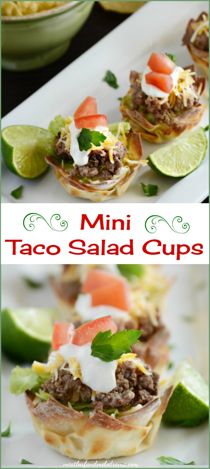 https://www.meatloafandmelodrama.com/wp-content/uploads/2016/04/mini-taco-salad-cups-recipe.jpg