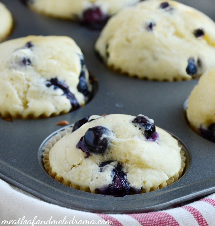 lemon-blueberry-muffins