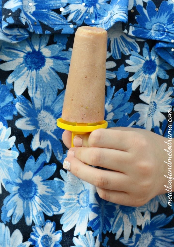 skinny-monkey-smoothie-pops