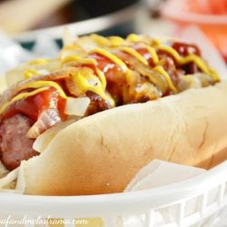 polish-sausage-dogs-onions-mustard-ketchup