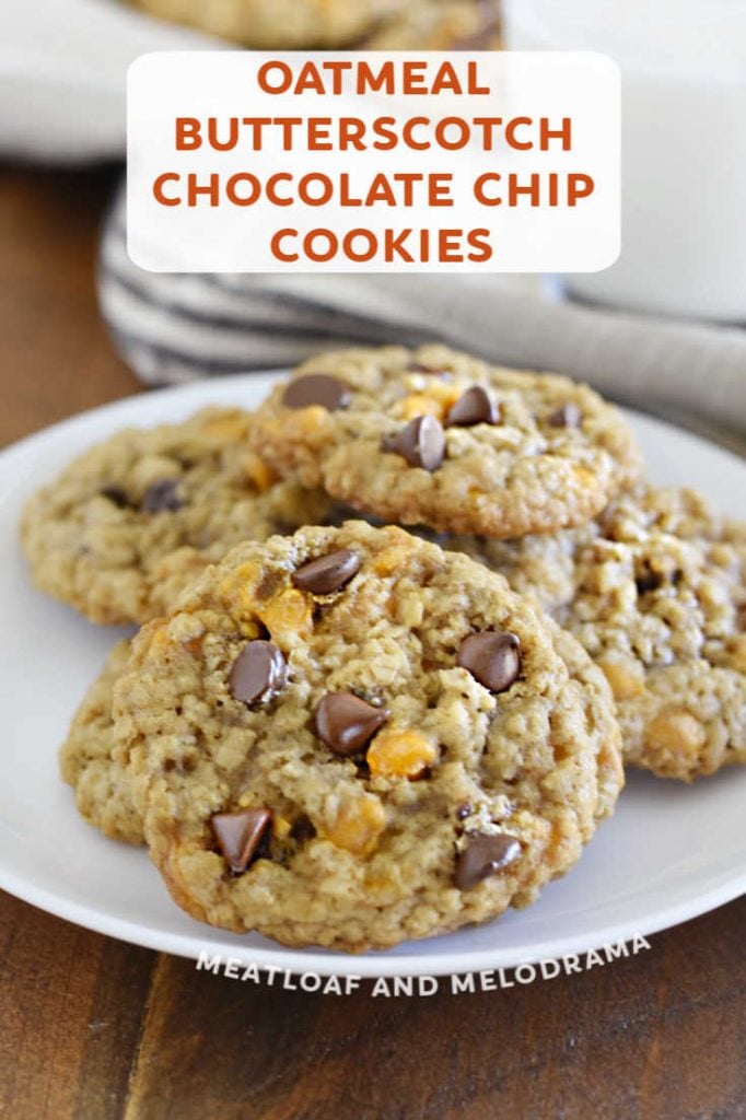 close up of oatmeal butterscotch cookies with chocolate chips