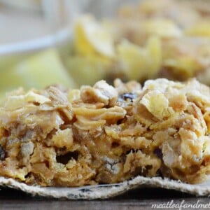 peanut-butter-honey-oat-cereal-bars