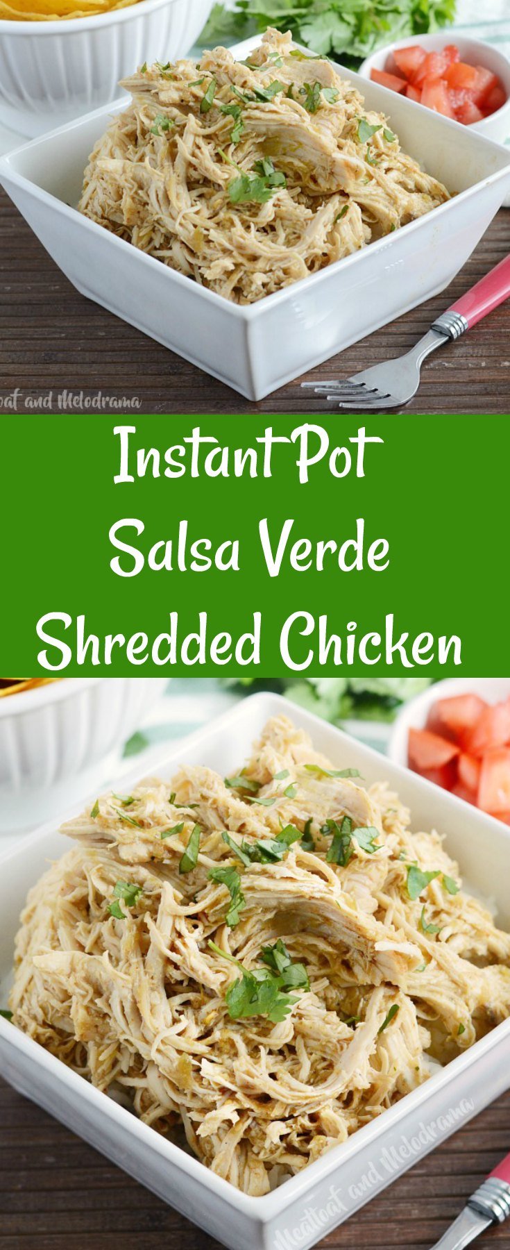 pin image for salsa chicken