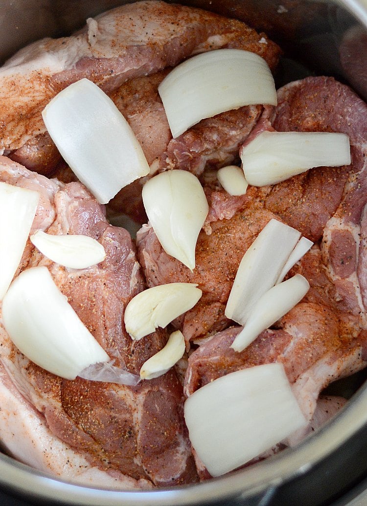 instant pot pulled pork roast with onions and garlic