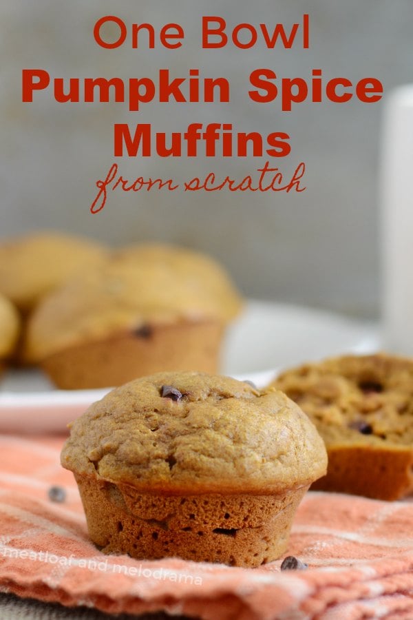 One Bowl Pumpkin Spice Muffins - Easy pumpkin muffins from scratch made in one bowl are easy to make and easy to clean up. Perfect for fall breakfast, lunch or snack.