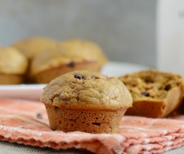 easy one bowl pumpkin spice muffin with chocolate chips on napkin