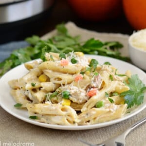 leftover instant pot turkey noodle casserole with vegetables on white plate