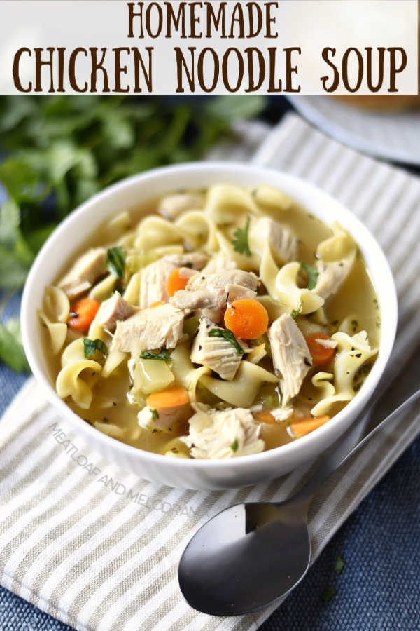 Homemade Chicken Noodle Soup from scratch