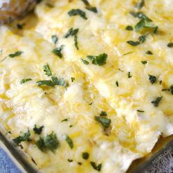 instant pot creamy chicken enchiladas in baking dish with shredded cheese and cilantro