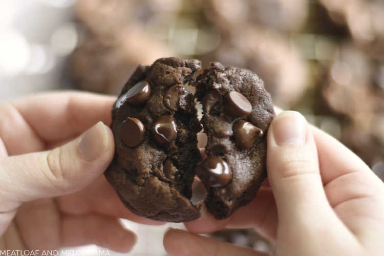 chocolate chocolate chip cookies with melting chocolate chips in hand
