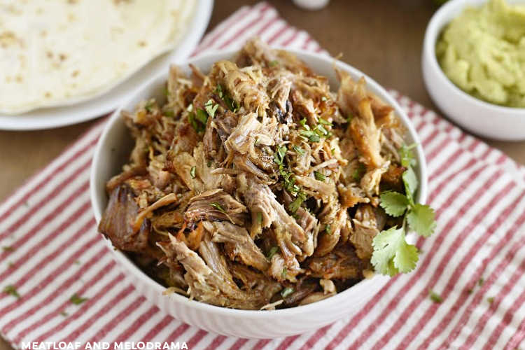 crispy shredded pork carnitas in white bowl