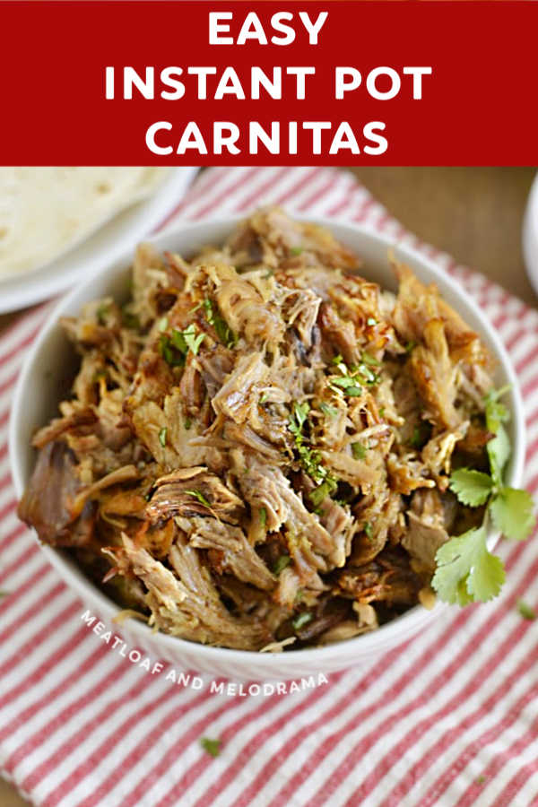 close up of pork carnitas in a white bowl