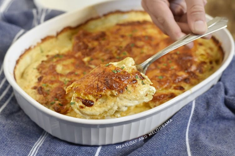 scalloped potatoes au gratin on a serving spoon