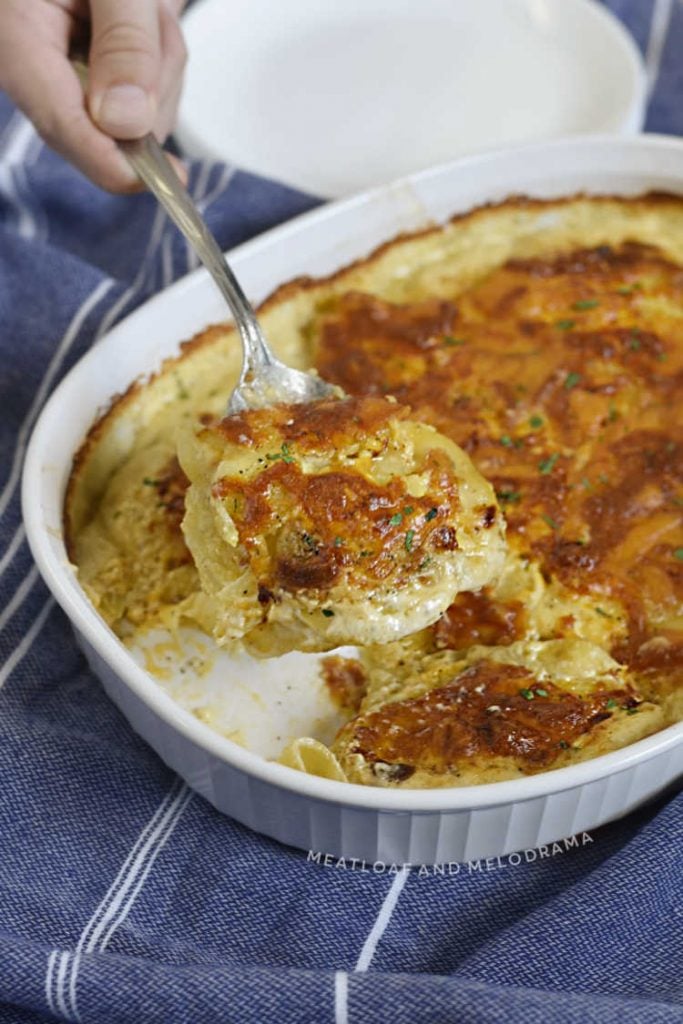 creamy potatoes au gratin made in the air fryer on a serving spoon