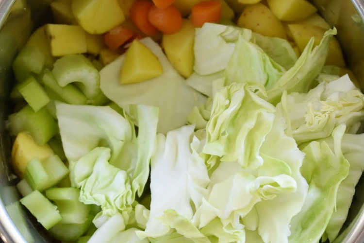 cabbage, celery, potatoes and carrots in instant pot