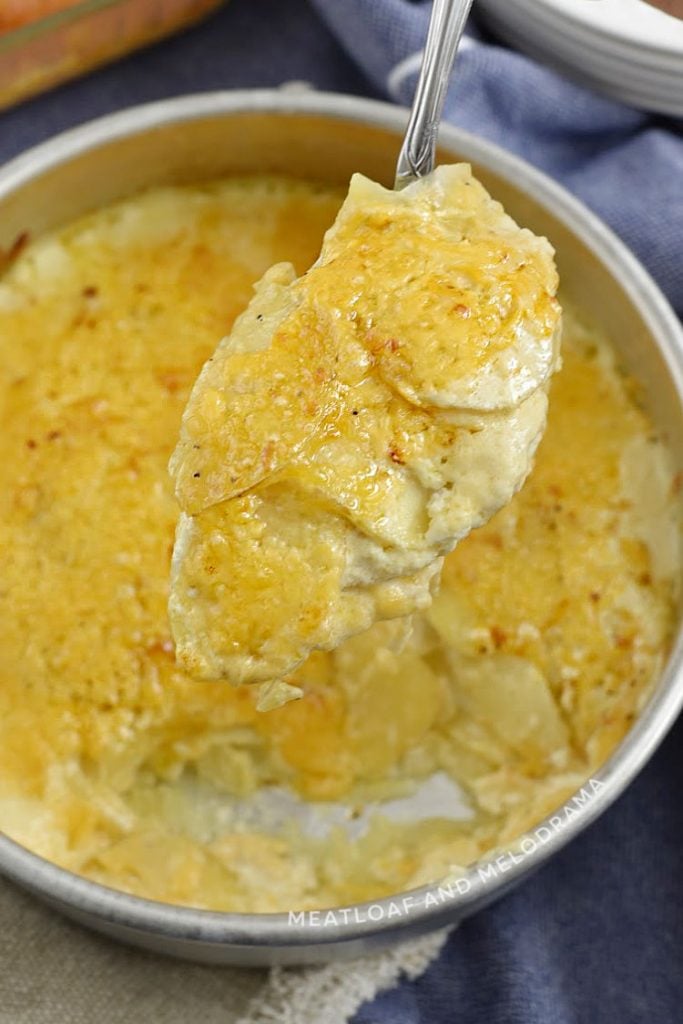 scalloped potatoes au gratin on serving spoon