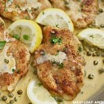 chicken piccata in cream sauce with lemon slices in a skillet