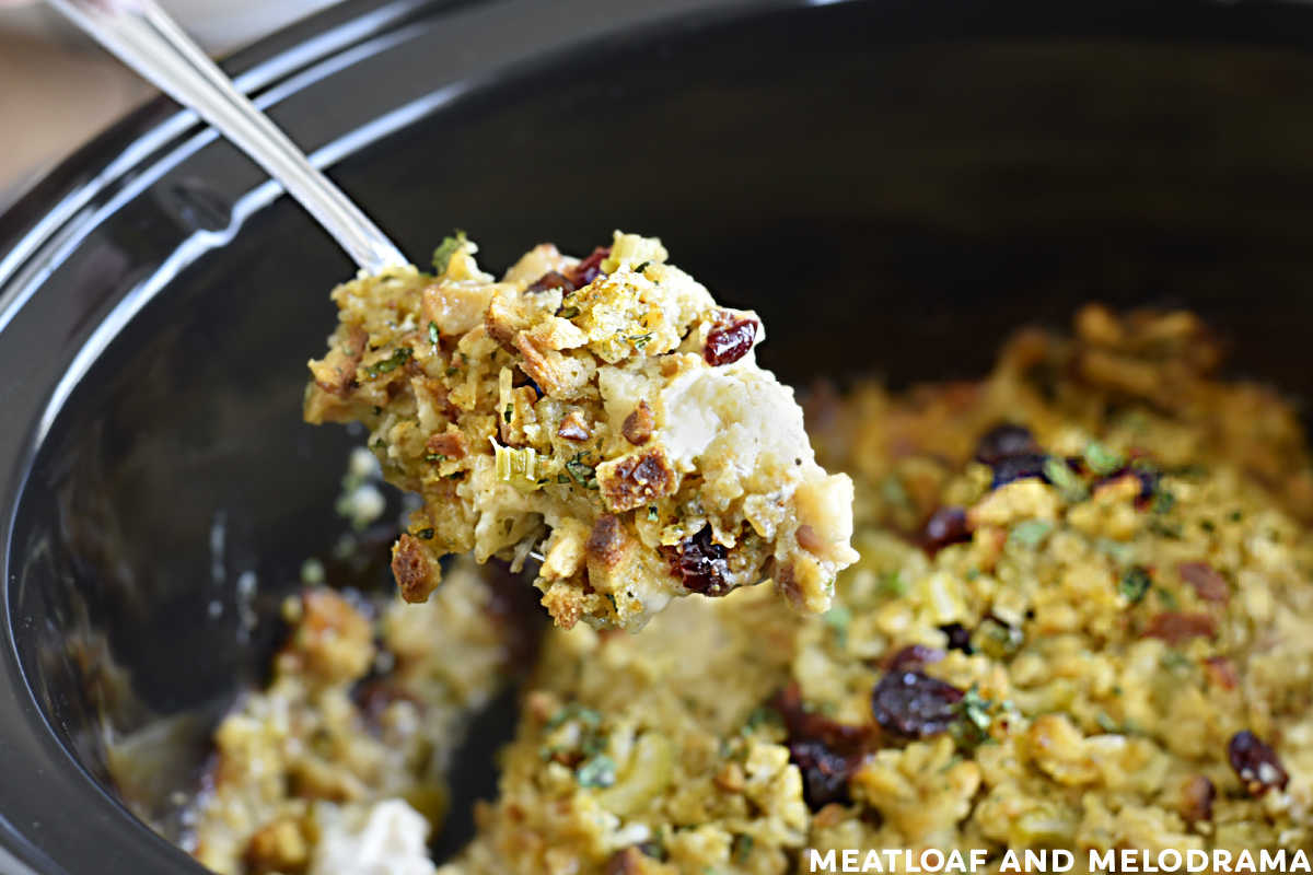 chicken and stuffing with cranberries on a spoon over crock pot