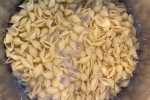 pasta in instant pot with water
