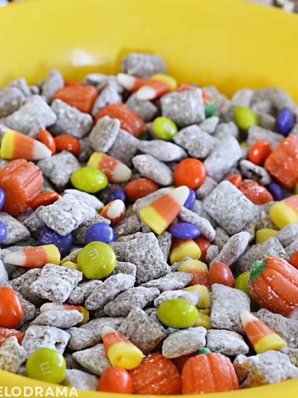 bowl of chex cereal puppy chow with fall and halloween candy