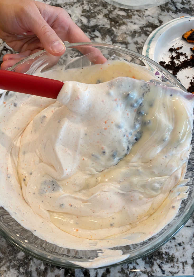 Homemade Halloween Ice Cream - Meatloaf and Melodrama