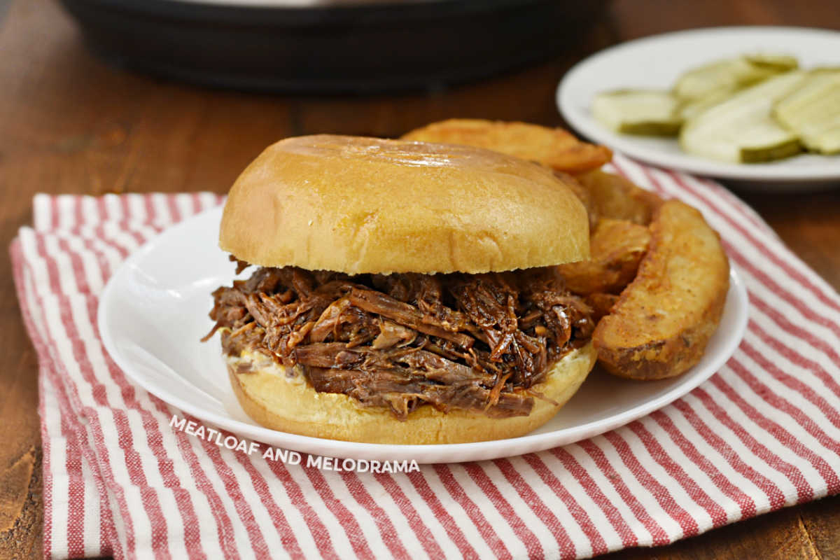 instant pot shredded bbq beef sandwich on a plate with steak fries