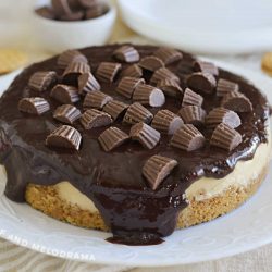 Instant Pot peanut butter cheesecake with chocolate ganache and peanut butter cups on top