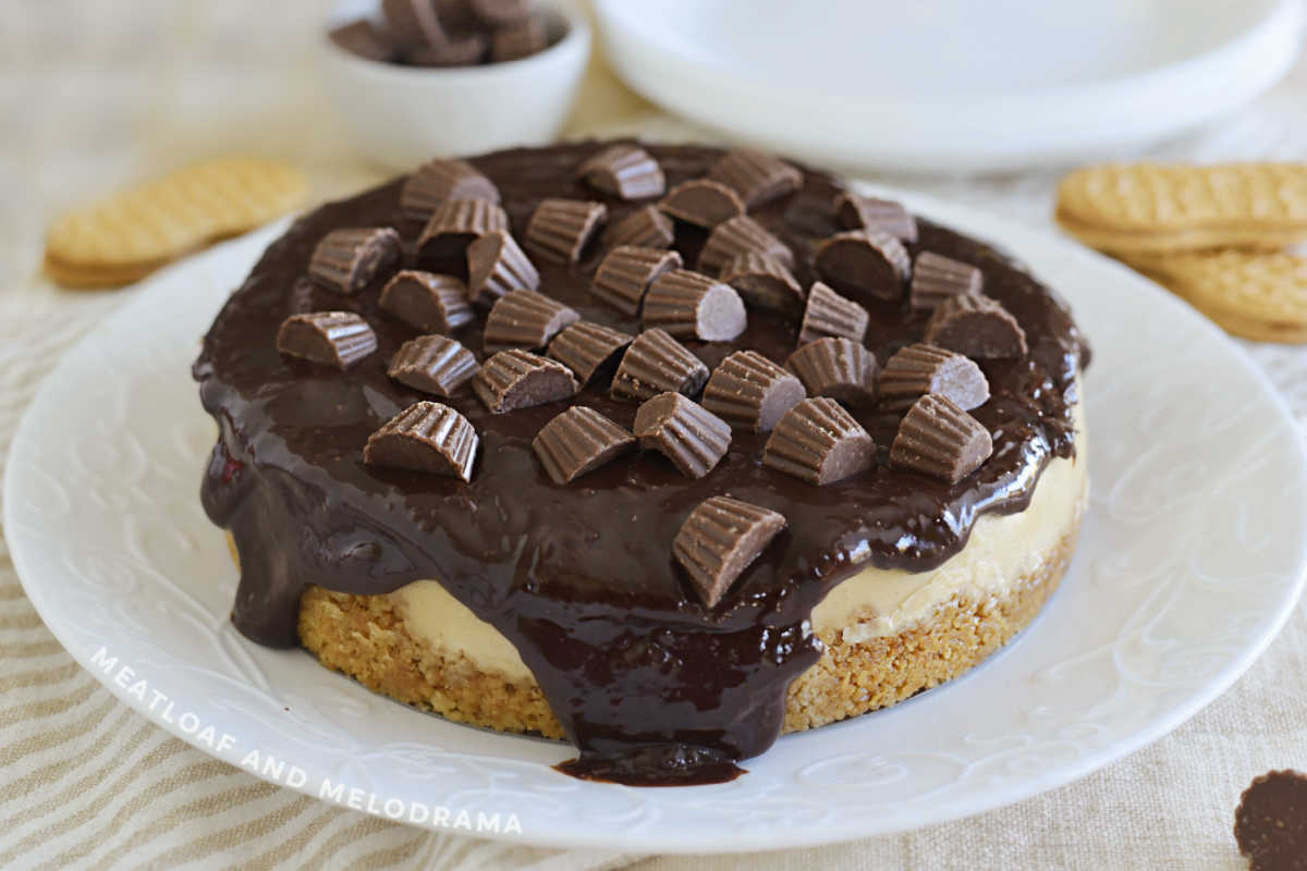 Instant Pot peanut butter cheesecake with chocolate ganache and peanut butter cups on top