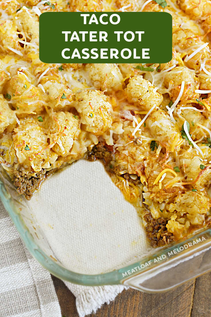 Taco Tater Tot Casserole combines seasoned ground beef, corn, salsa and cheese for an easy Mexican style hot dish dinner the family will love! via @meamel