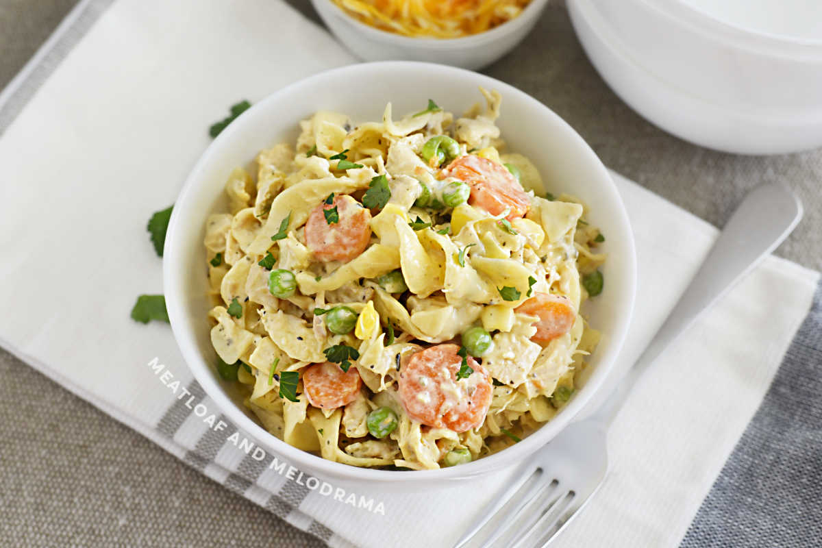 bowl of chicken noodle casserole with vegetables and egg noodles on the table 