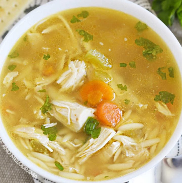 Instant Pot Rotisserie Chicken Soup Meatloaf and Melodrama