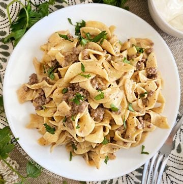 instant pot ground beef stroganoff with egg noodles on white plate